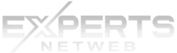 logo experts netweb